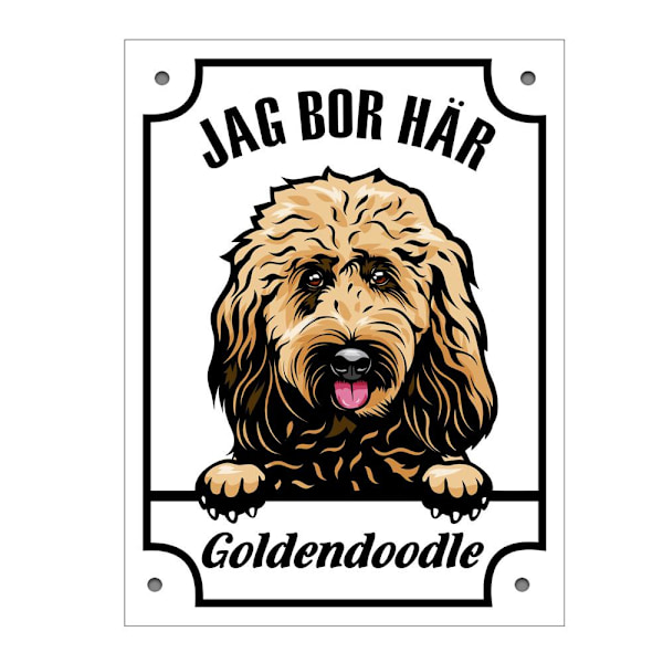 Plåtskylt Goldendoodle Kikande hund skylt Vit