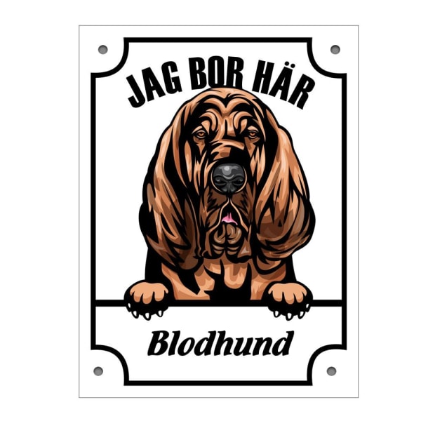 Plåtskylt Jag bo här Blodhund Kikande hund skylt Vit