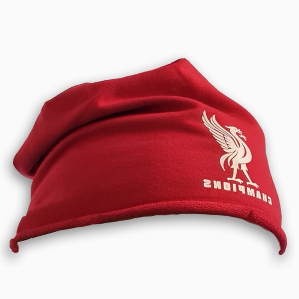 Liverpool style Champions beanie hat - Liverbird ski hat Red one size