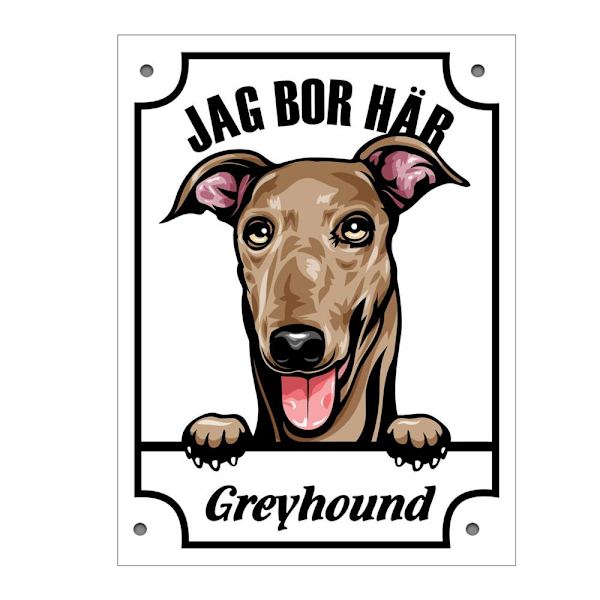 Plåtskylt Greyhound Kikande hund skylt Vit