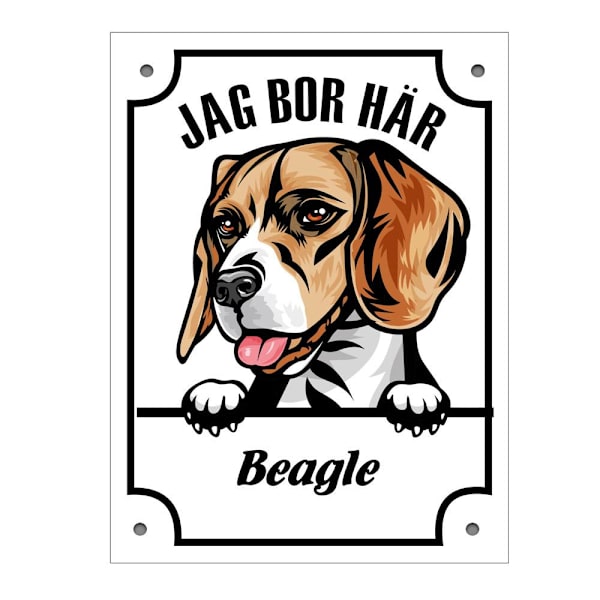 Plåtskylt Jag bo här Beagle Kikande hund skylt Vit
