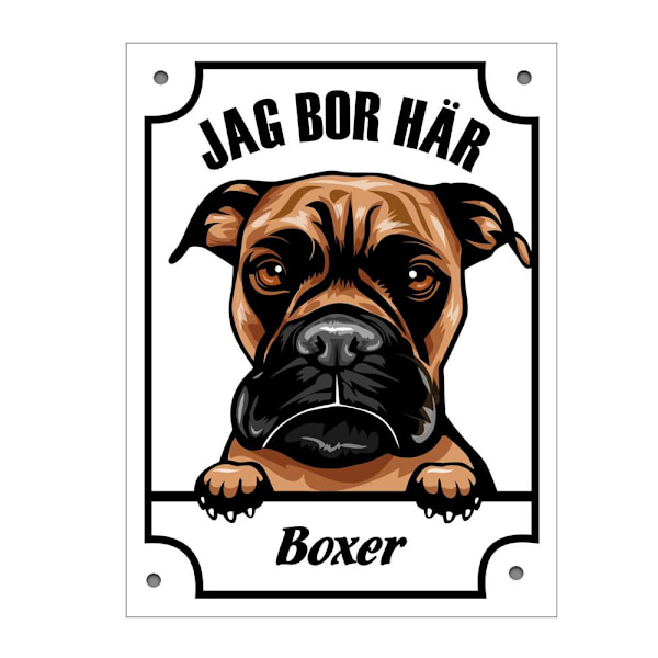 Plåtskylt Jag bo här Boxer Kikande hund skylt Vit