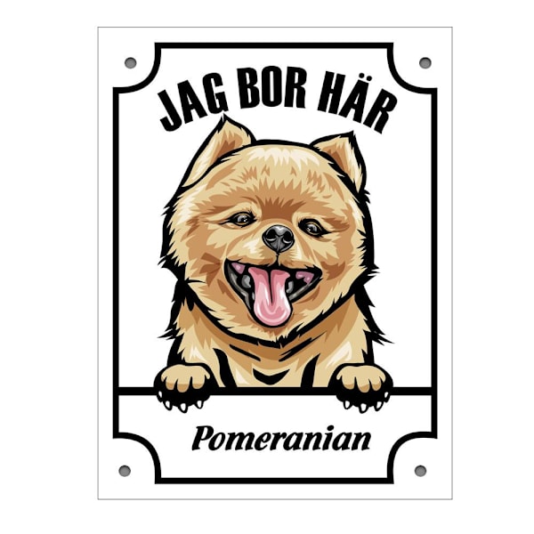 Plåtskylt Pomeranian Kikande hund skylt Vit