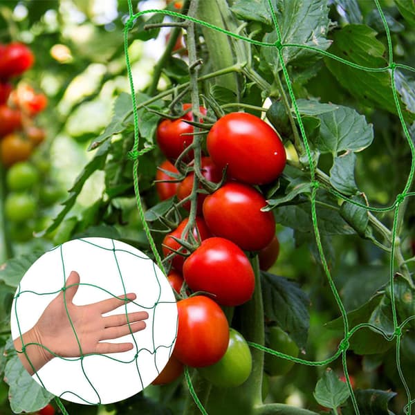 Plant Climbing Net Fruit Protect Net Bag