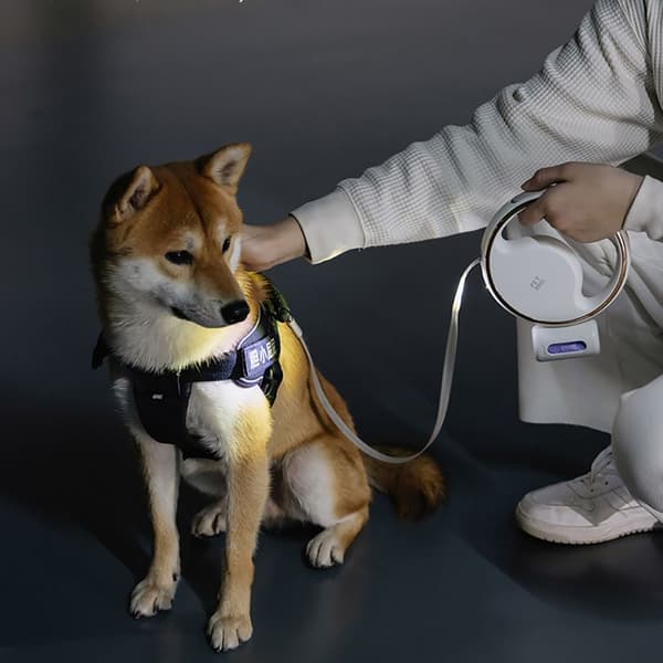 Blyband Infällbart hundkoppel VIT WHITE