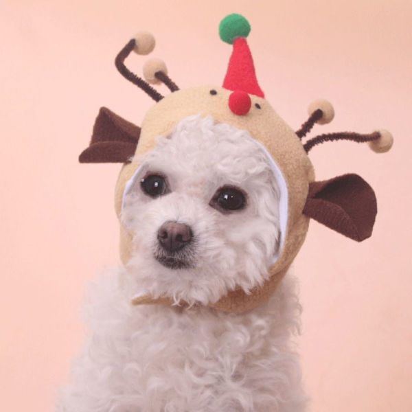 Julhundhatt Cap STYLE 6 STYLE 6 Style 6