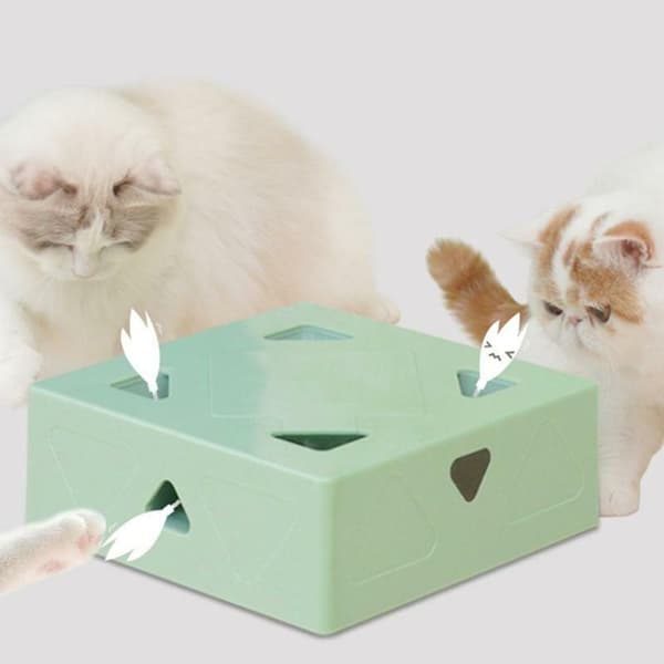 6st Cat Feather Toy Replacements Head Cat Magic Box