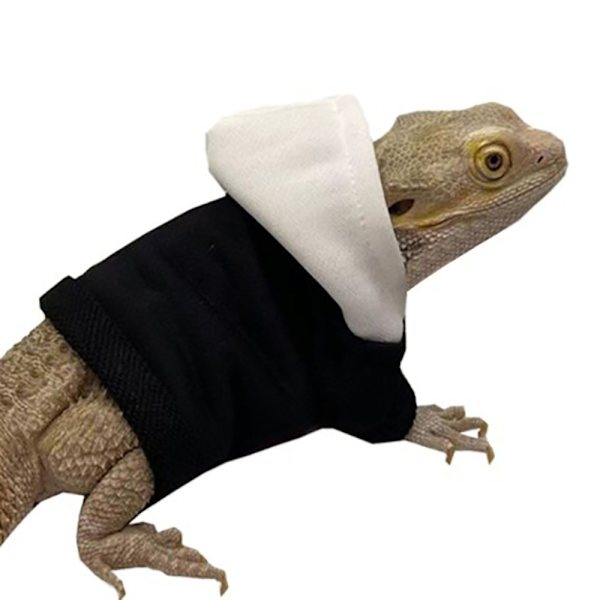 Bearded Dragon Costume Lizards Hoodie Coat LILA ORANGE LILA Purple orange