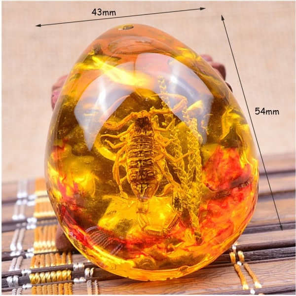 Butterfly Amber Stone Insect Spcimen Riipus RAPURAPU crab