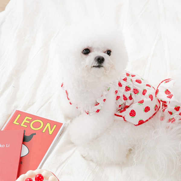 Pet Strawberry Dress Pet Hundetøj GUL L yellow L