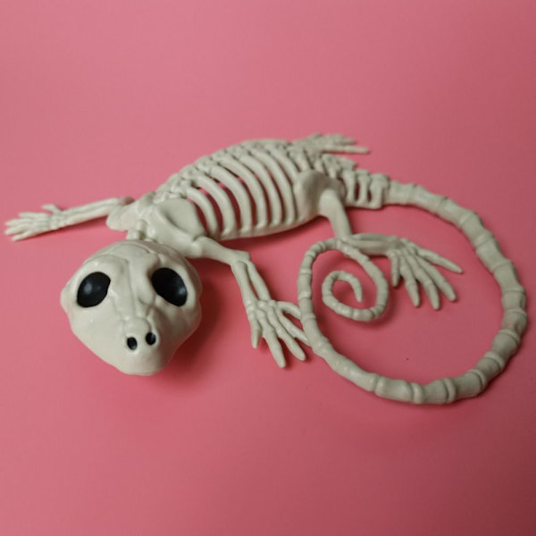 Halloween bevægeligt skelet Dyr falsk skelet GECKO GECKO gecko