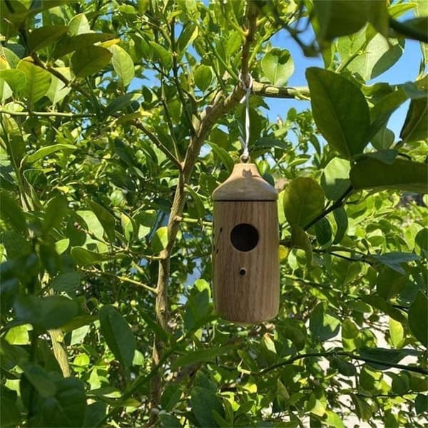 Kolibrinpesä B B B