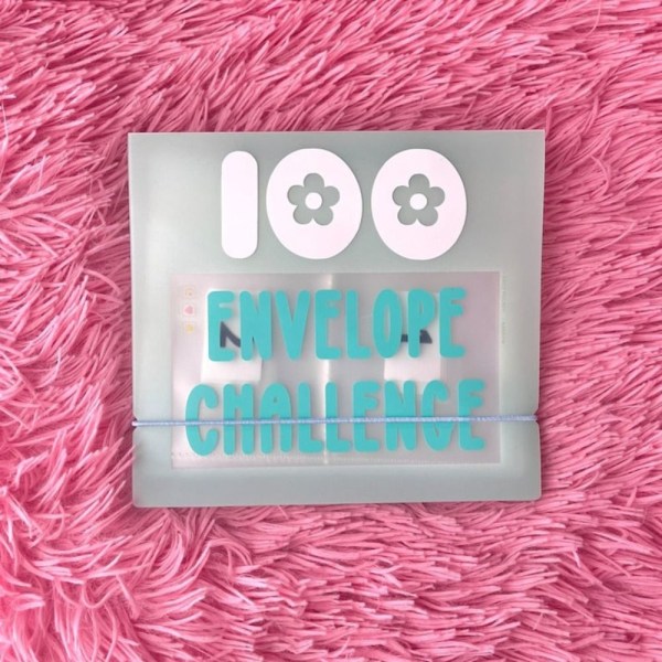 100 Envelope Challenge Binder A5 Binder Sleeve PINK Pink