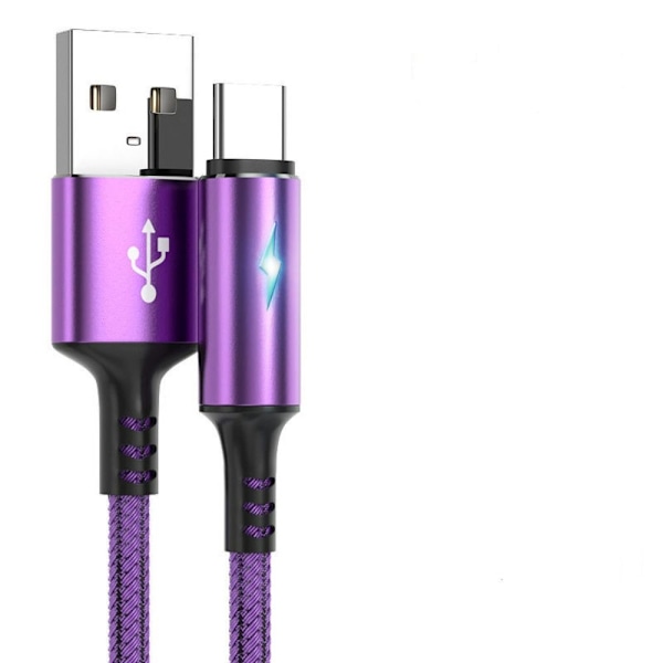 Typ C Kabel Datasladd RÖD 2M Red 2M