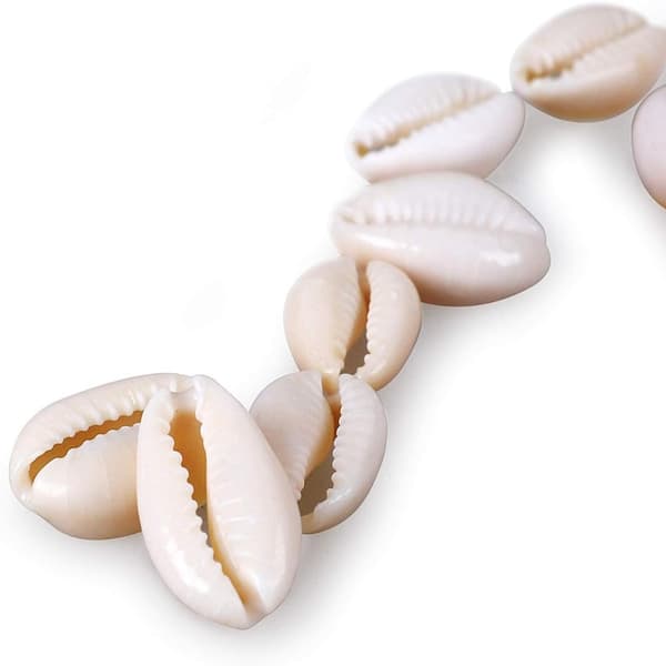 Strong Cowrie Shell Beads Glat snit