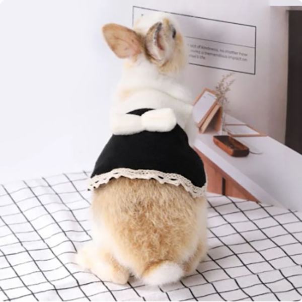 Härlig Hamsterklänning Smådjurskläder MRED KLÄNNING RÖD KLÄNNING MRed dress