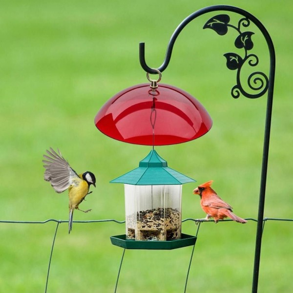 Hummingbird Cover Fågelmatare Cover TRANSPARENT Transparent