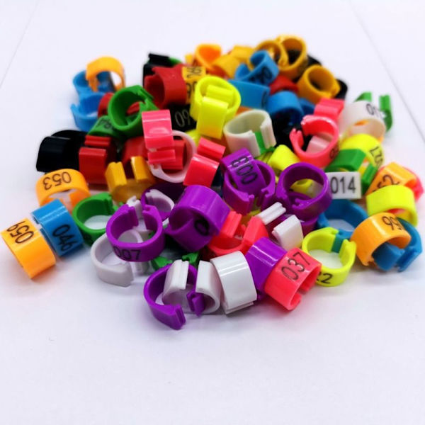 Due Ringe Due Fugle Clip Ringe MULTICOLOR Multicolor
