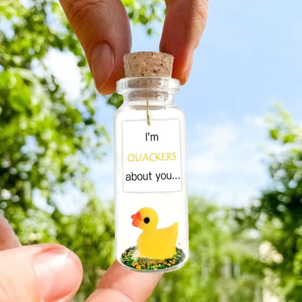 Duck Wishing Bottle Mini Wishing Lasipullo Koristeellinen