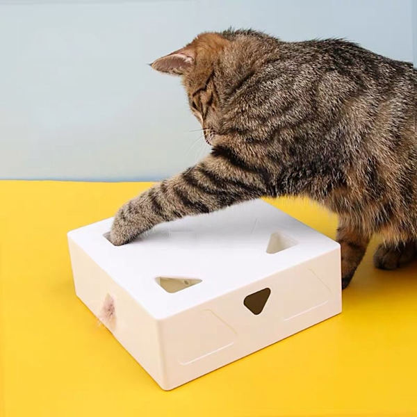6st Cat Feather Toy Replacements Head Cat Magic Box