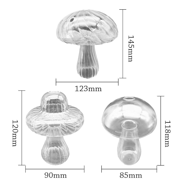 Soppglassvase Aromaterapiflaske C C C