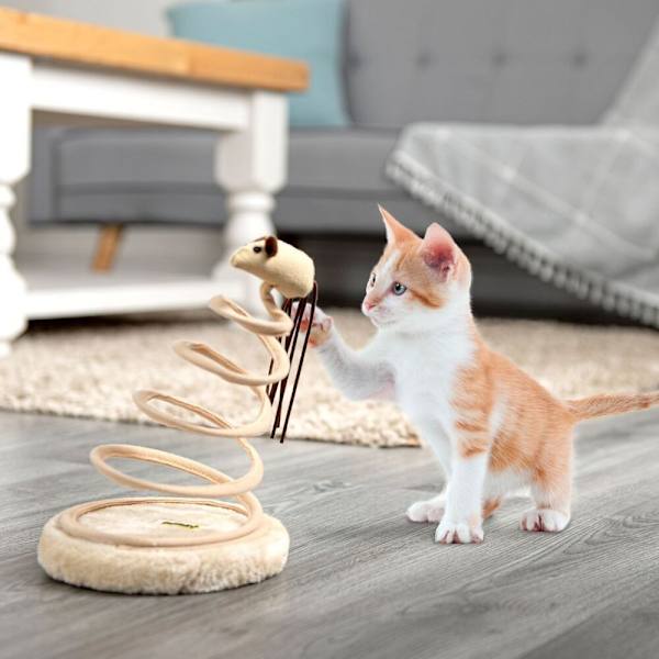 Cat Toy Spring Plate Spiral Tease Cat Toy FISK FISK Fish