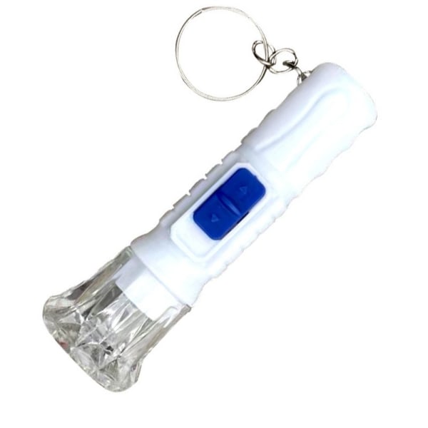 10st mini ficklampa nyckelring ljus LED ficklampa