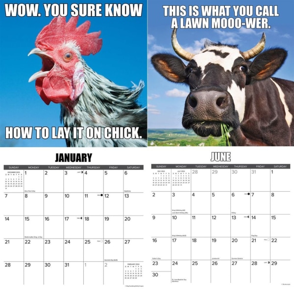 Funny Animal Calendar 2024 Kalenteri CHICKEN CHICKEN chicken