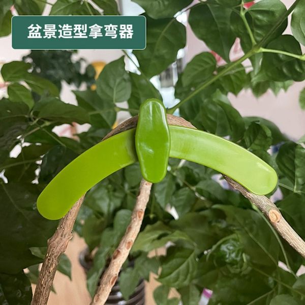 5/10 stk. Branch Holder Clip Fastgørelses Clips 5 STK 5 STK 5pcs