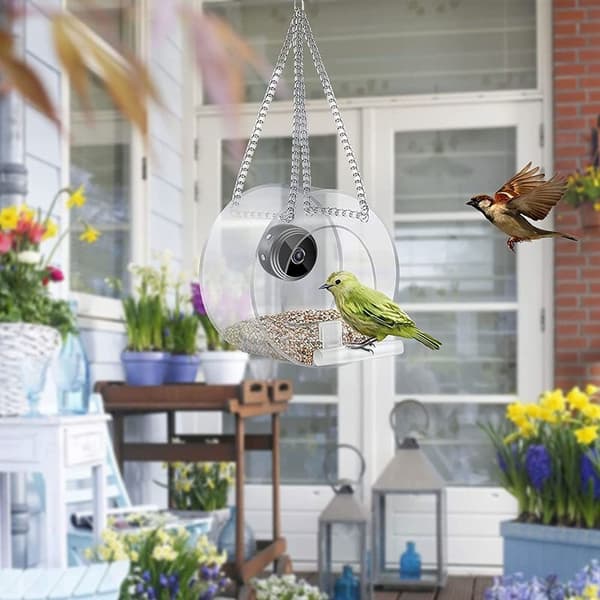 Smart fuglemater med kamera B B B