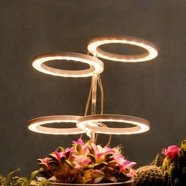 Grow Light Ring Lampe 4 RING 4 RING 4 Ring