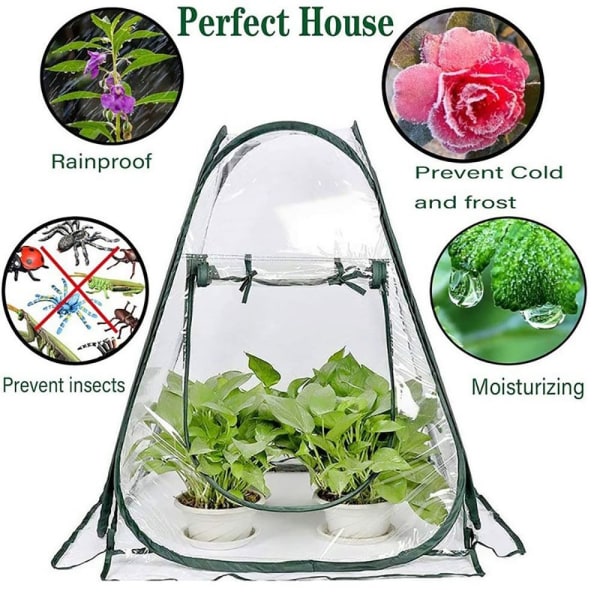 Pop Up kasvihuone Flower House Plant Hot House