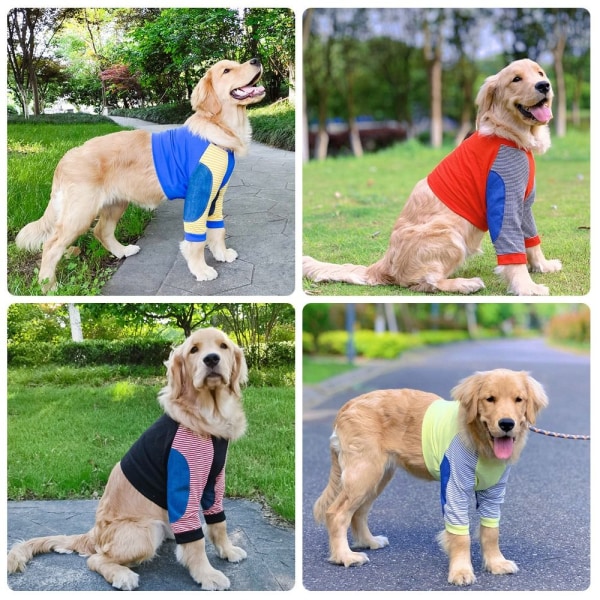 Hundkläder Pullover Kläder 4XL 4XL