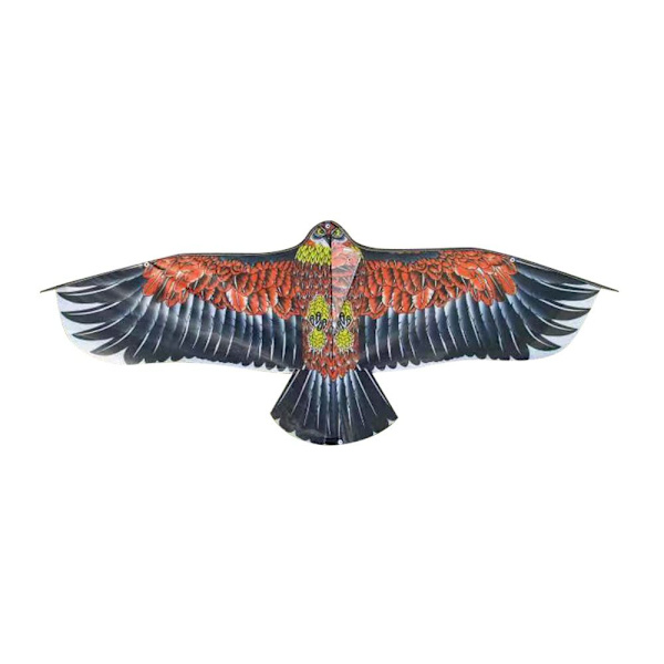 Eagle Kite Bird Drakar TYP D TYPE D Type D
