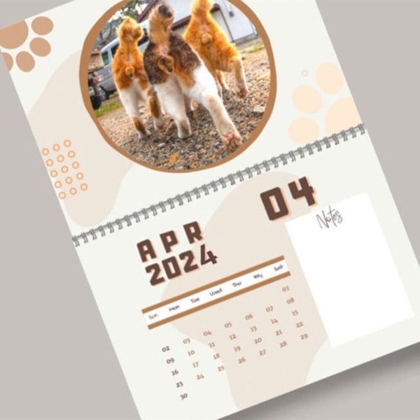 Cats Buttholes Calendar 2024 Kalender Väggkalender