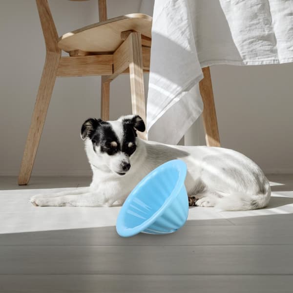 Hundeleker Hundebitteleke BLÅ Blue
