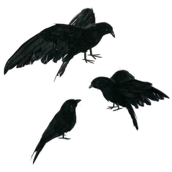 2st Halloween Uppstoppad fjäderkråkfågel Svarta korpar