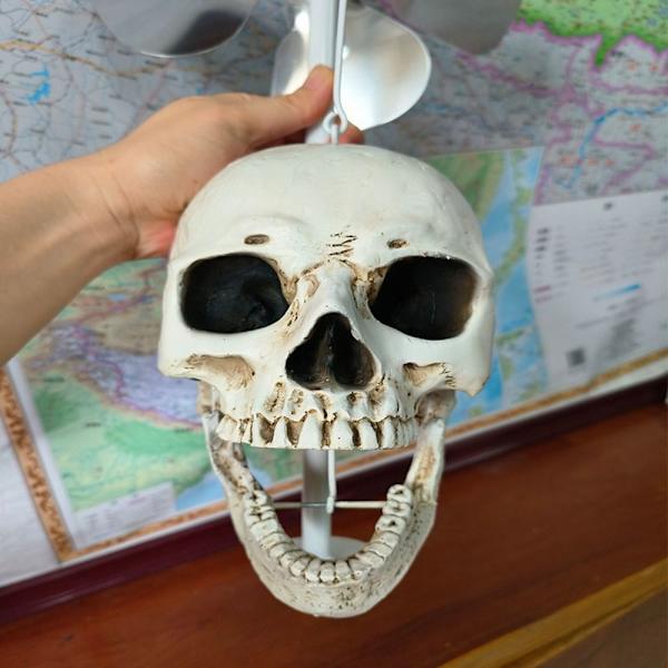 Skull Wind Spinner Wind Spinners MUSTA black