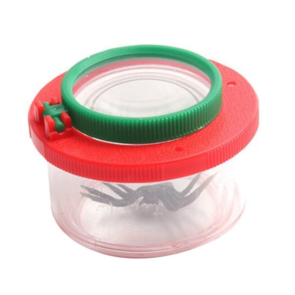 Bug Viewer Insect Box Magnifier 02 02 02