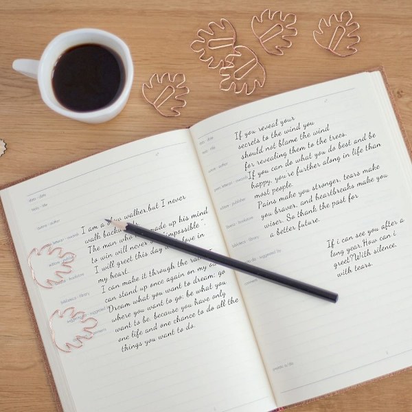 Paperiliittimet Kirjanmerkki Muistio Clips Set