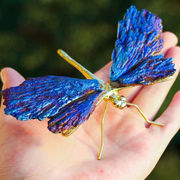 Aura Tourmaline Kyanite Dragonfly Butterfly ja Dragonfly B