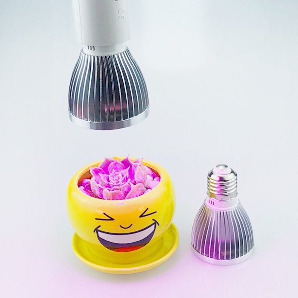 Plant Grow Light Lamp Grow Lights