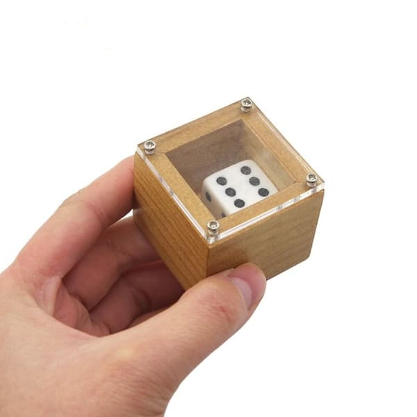 Magic Dice Taikatemppuja Magic rekvisiitta