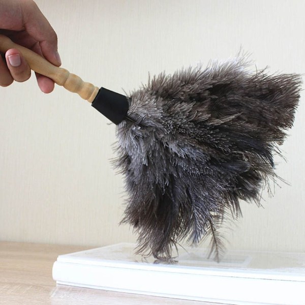 Feather Duster Strutsi Duster Feather M M