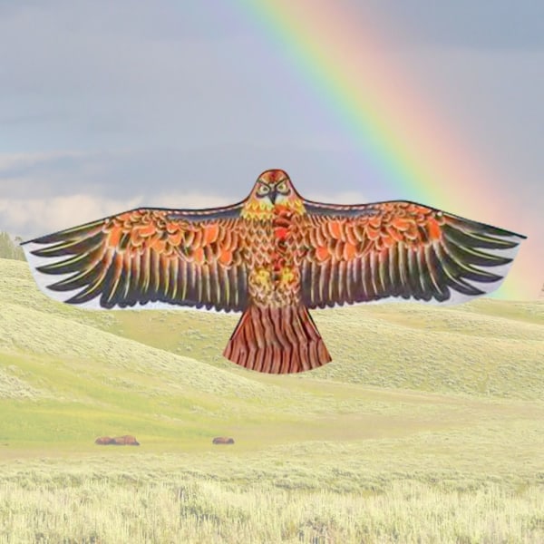 Flat Eagle Kite Bird Leijat TYYPPI D TYYPPI D Type D