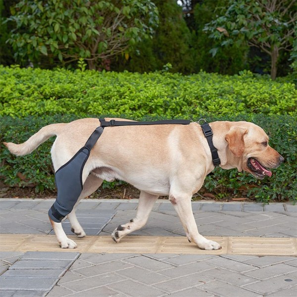 Pet Protective Gear Polvituki MRIGHT LEG RIGHT LEG M