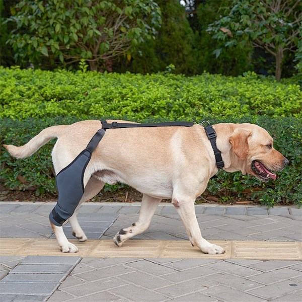 Pet Protective Gear Polvituki XLLEFT LEG LEFT LEG XL