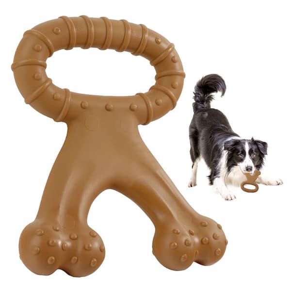 Dog Bone Interactive Dog Toy Bite