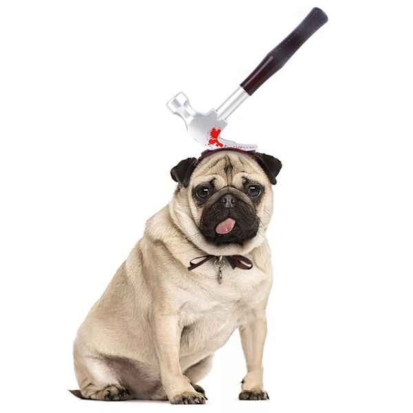 Hundehatt Kjæledyrshodeplagg SD D SD