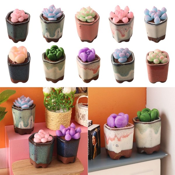 Dollhouse Succulent Bonsai Miniature Plant Potted 10 10 10